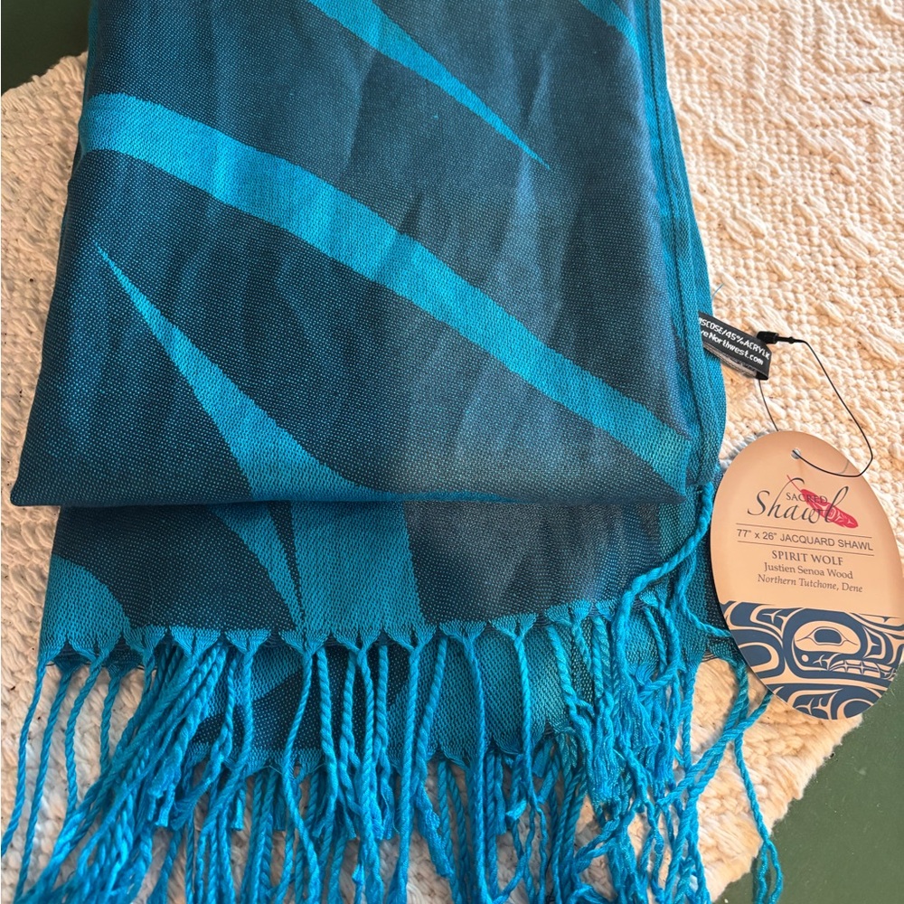 Northwest Teal and Black Shawl